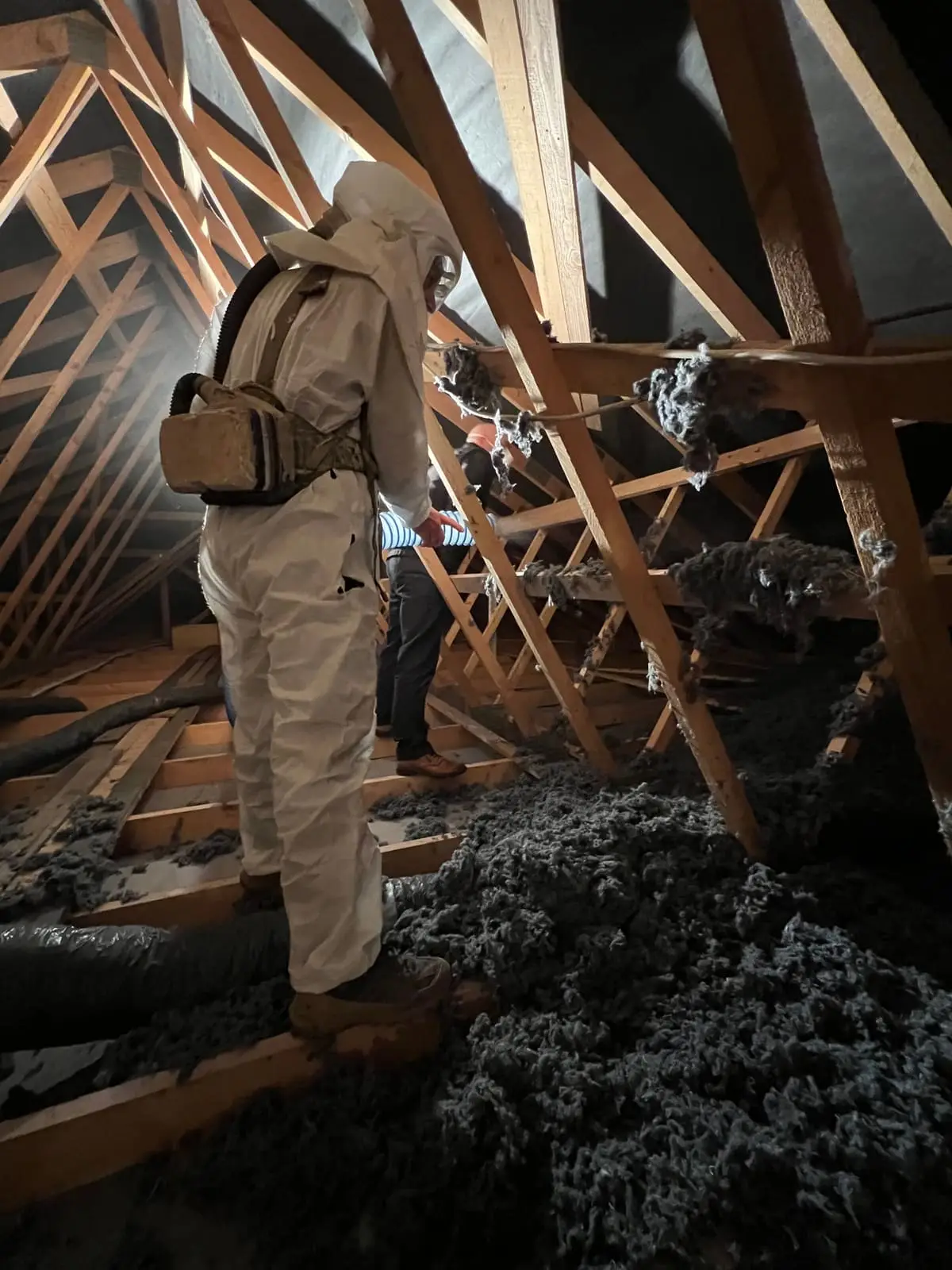 Combles avec laine de coton soufflée et projecteur lumineux · isolation thermique Isolatech